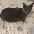 IMG-20181228-WA0000