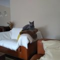 IMG-20190405-WA0003