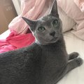 IMG-20190407-WA0001