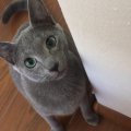IMG-20190527-WA0000
