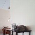 IMG-20190606-WA0004
