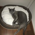 IMG-20190607-WA0000