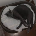 IMG-20190728-WA0000