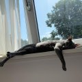 IMG-20190821-WA0002