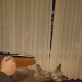 IMG-20220927-WA0000