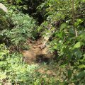 IMG_1947