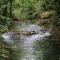 IMG_1954