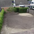 IMG_2010