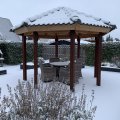 IMG_0137