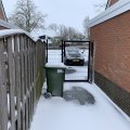 IMG_0142
