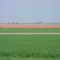 DSC00001
