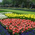 DSC00024