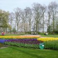 DSC00048