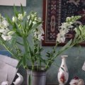 DSC00040