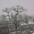 DSC00018