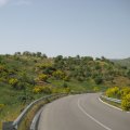 IMG_0185
