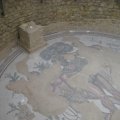 IMG_0207