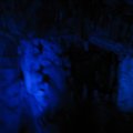 IMG_0259