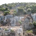 IMG_0837