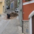 IMG_1452
