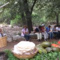 IMG_1458