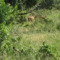 IMG_2219