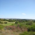 IMG_2519