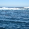 IMG_2656