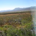 IMG_2718