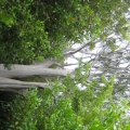 IMG_2744
