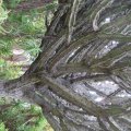 IMG_2749