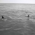 IMG_0323