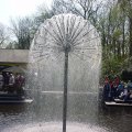 DSC00002