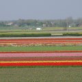 DSC00037