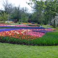 DSC00050