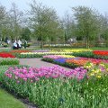 DSC00053