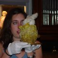 DSC00015