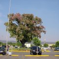 DSC00007