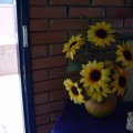 DSC00074