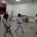 DSC00047