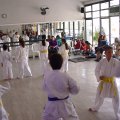 DSC00079