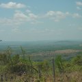 DSC00019