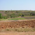 DSC00088