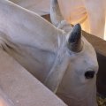 DSC00092