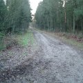 DSC00601