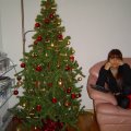 DSC00645