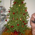 DSC00648