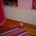 DSC00501