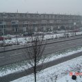 DSC00060