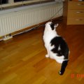 DSC00040